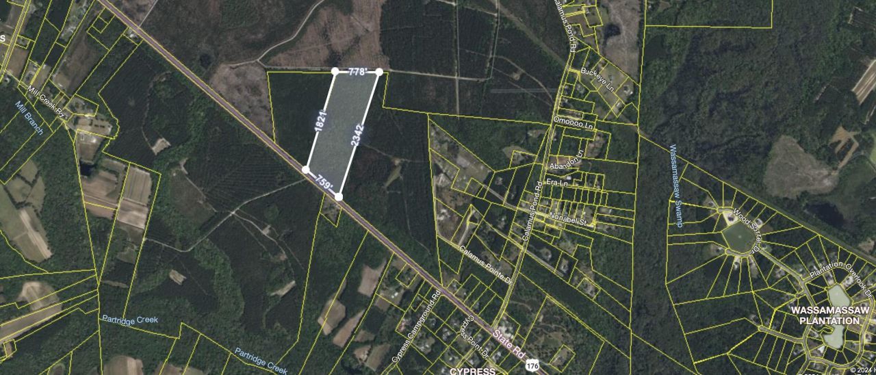 2900 Highway 176 Photo 5