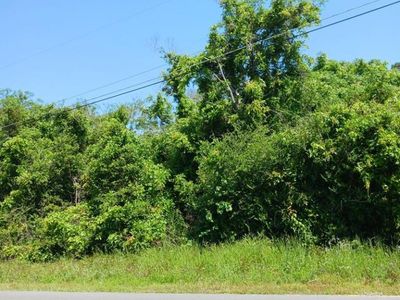 W Railroad Avenue , Bamberg, SC 29003