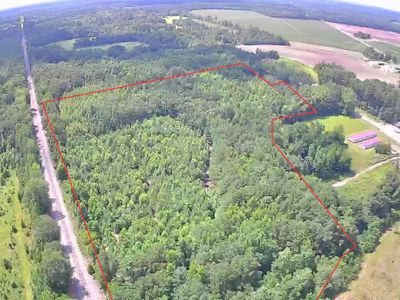 Tbd Johnston Avenue, Reevesville, SC 29471