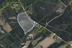 4391 State Road  photo 4