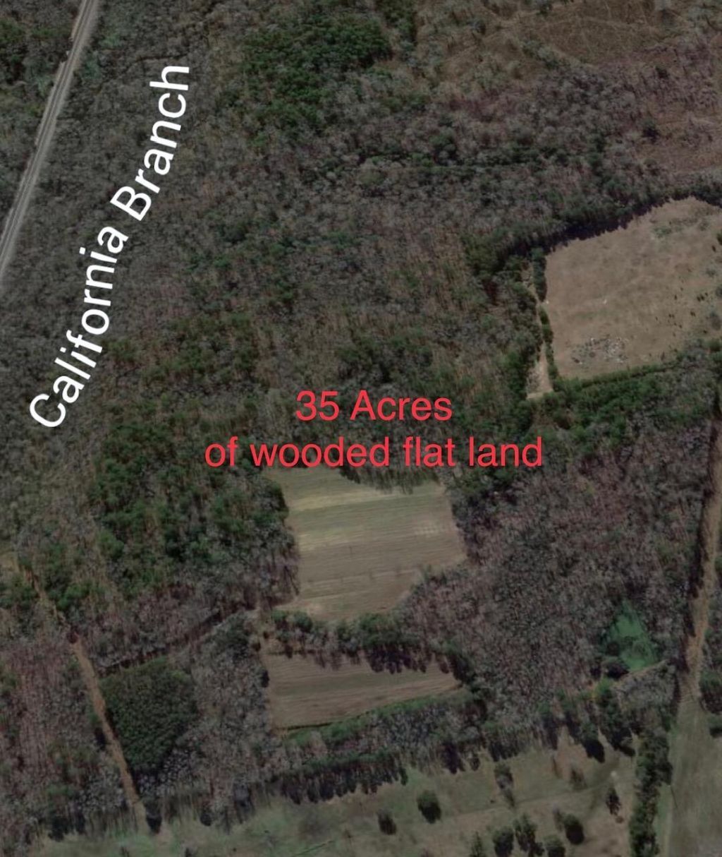 170 Field Place Photo 3