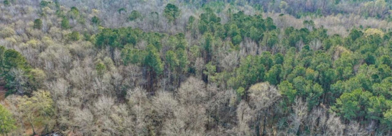 170 Field Place Photo 4