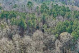 170 Field Place photo 4