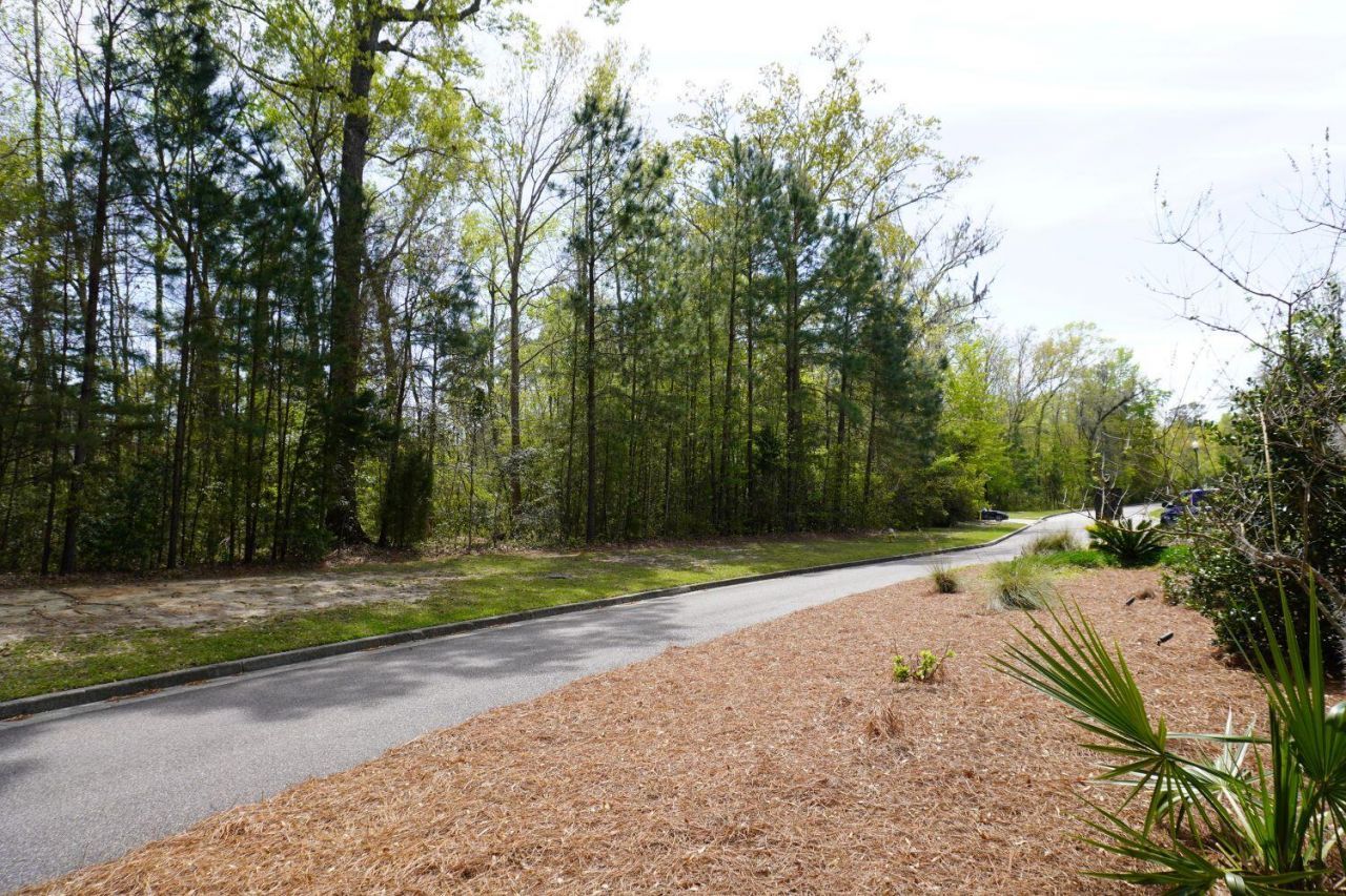 0 Carolina Bay Drive Photo 10