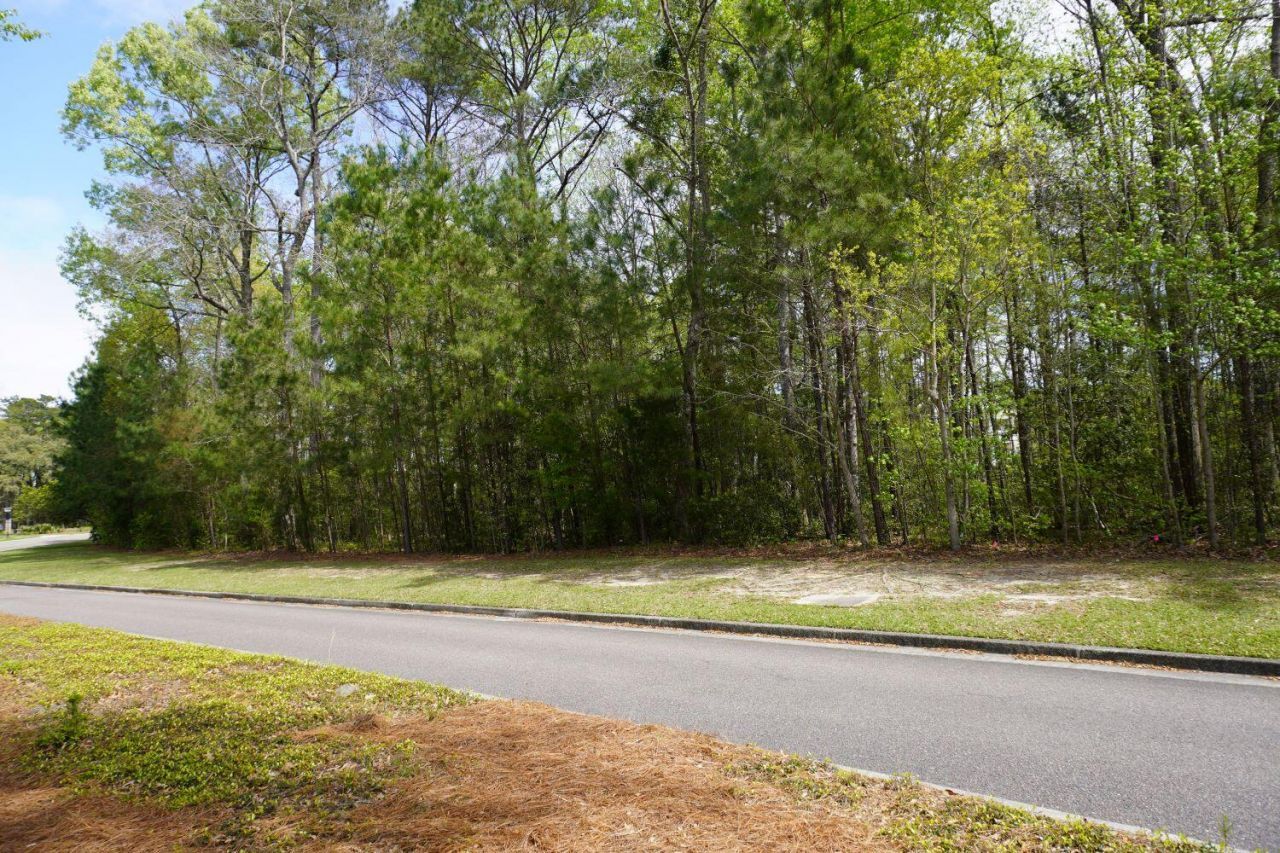 0 Carolina Bay Drive Photo 11