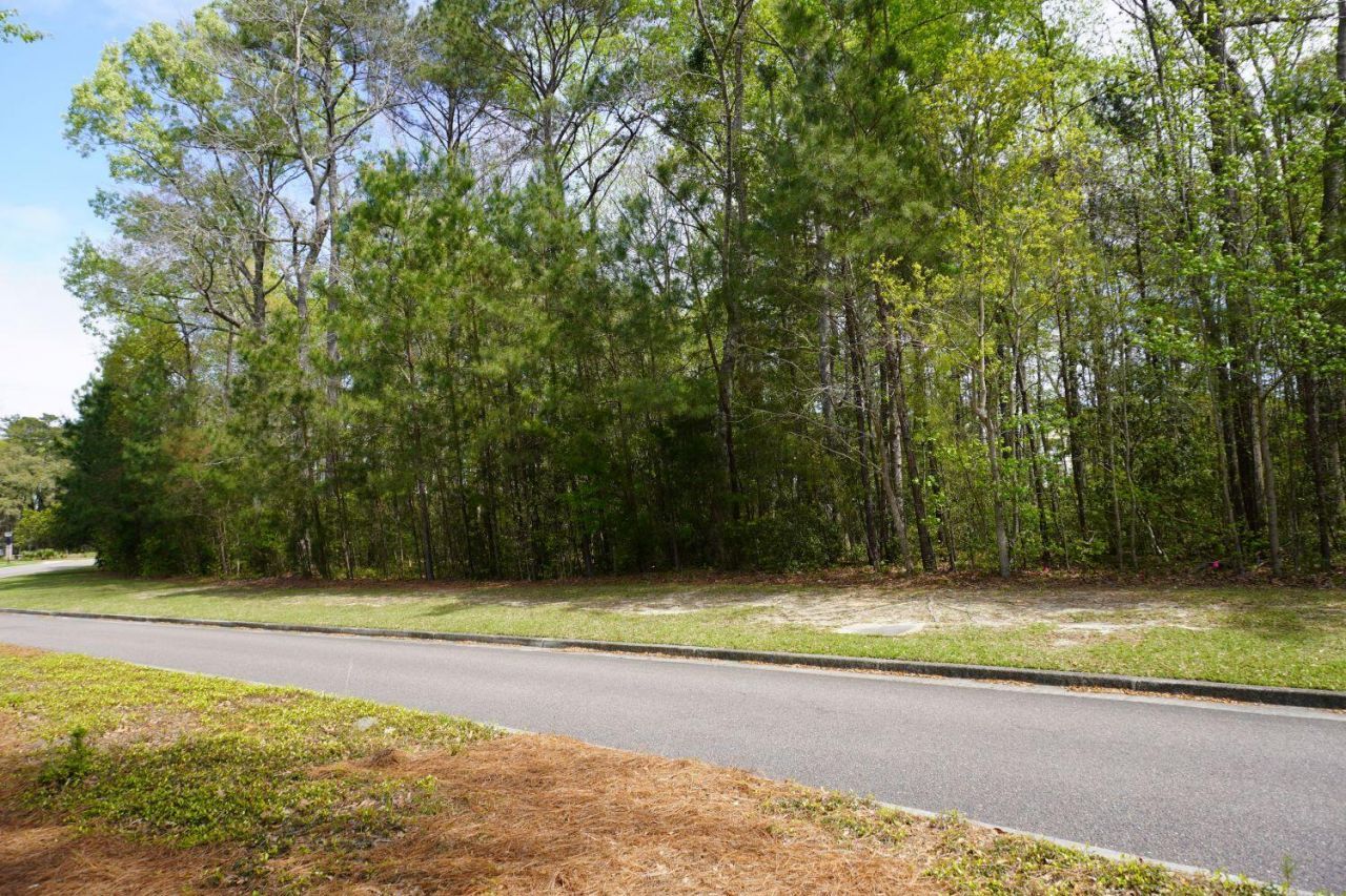 0 Carolina Bay Drive Photo 13