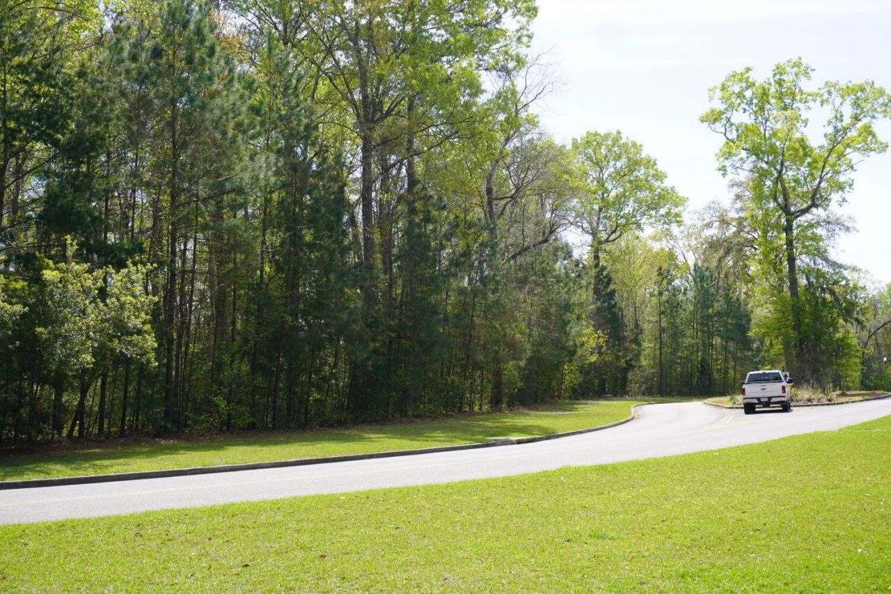 0 Carolina Bay Drive Photo 2