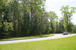 0 Carolina Bay Drive photo 4