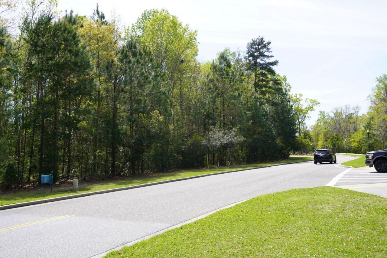 0 Carolina Bay Drive Photo 3