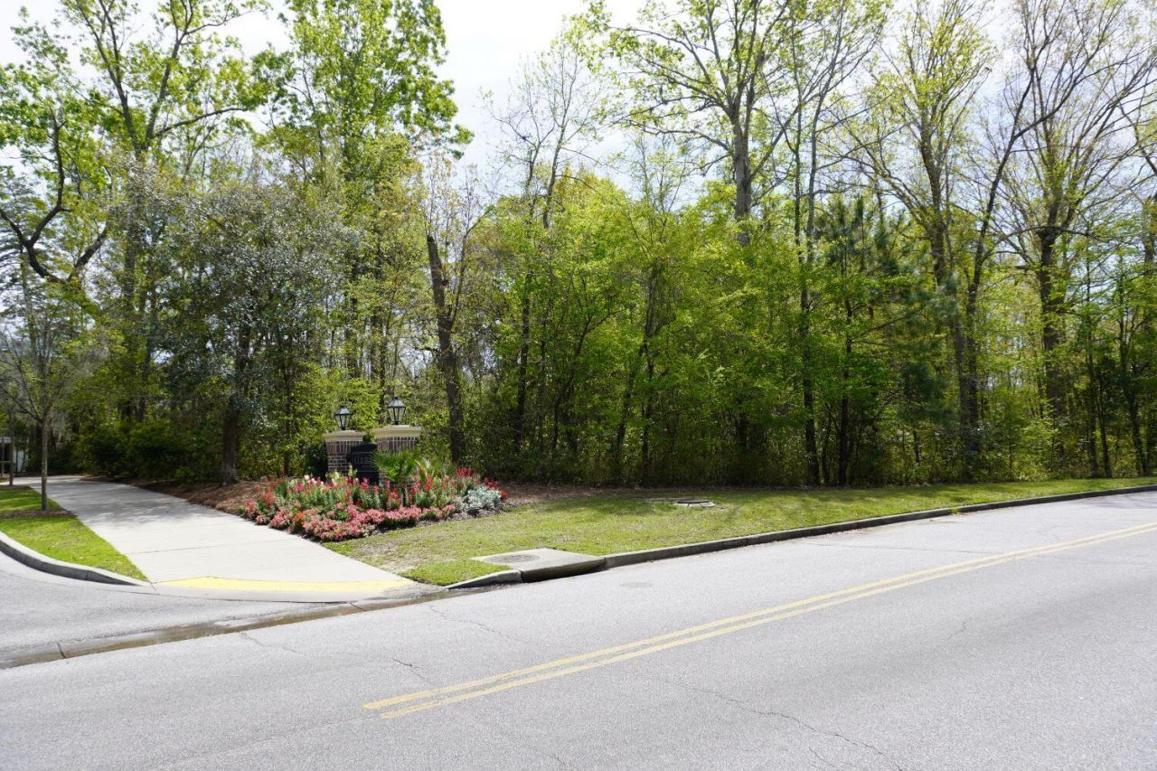 0 Carolina Bay Drive Photo 7