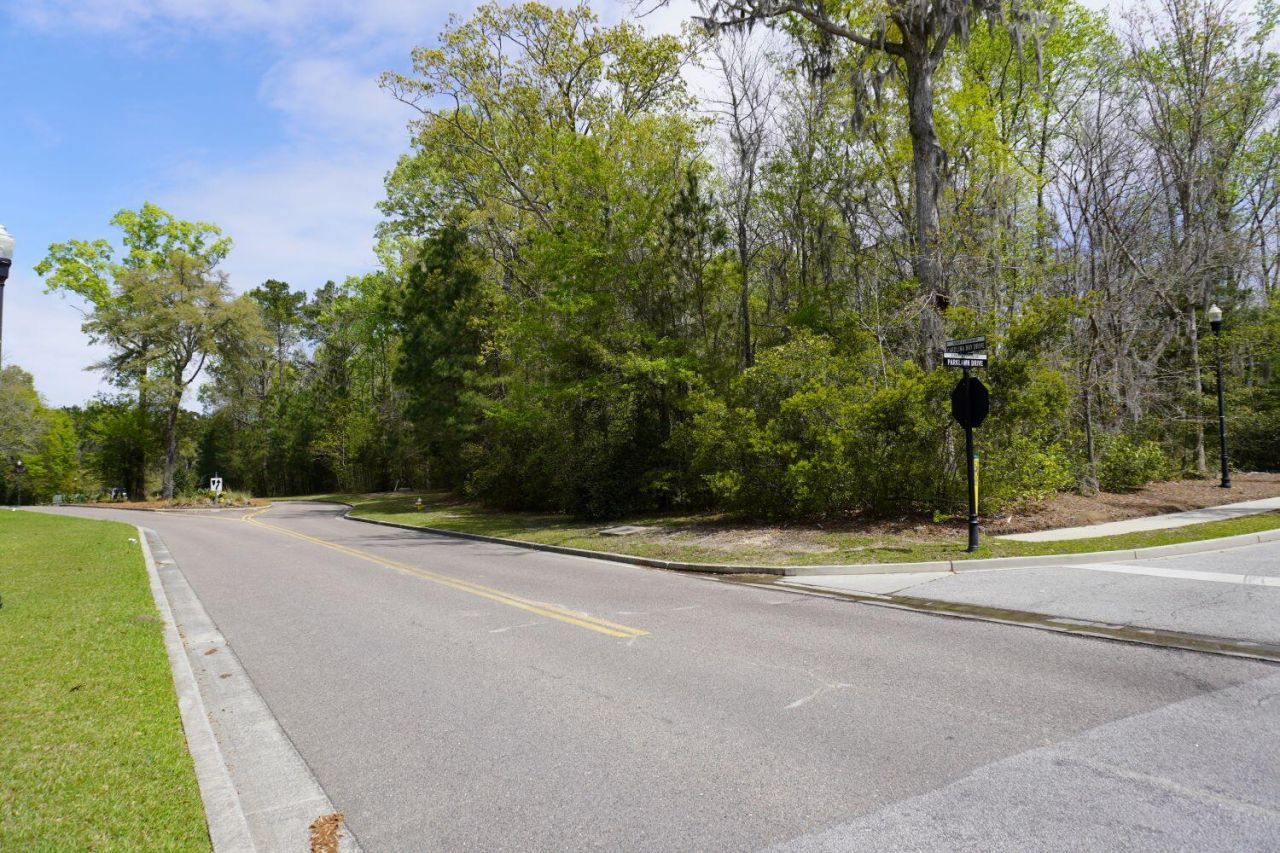 0 Carolina Bay Drive Photo 8