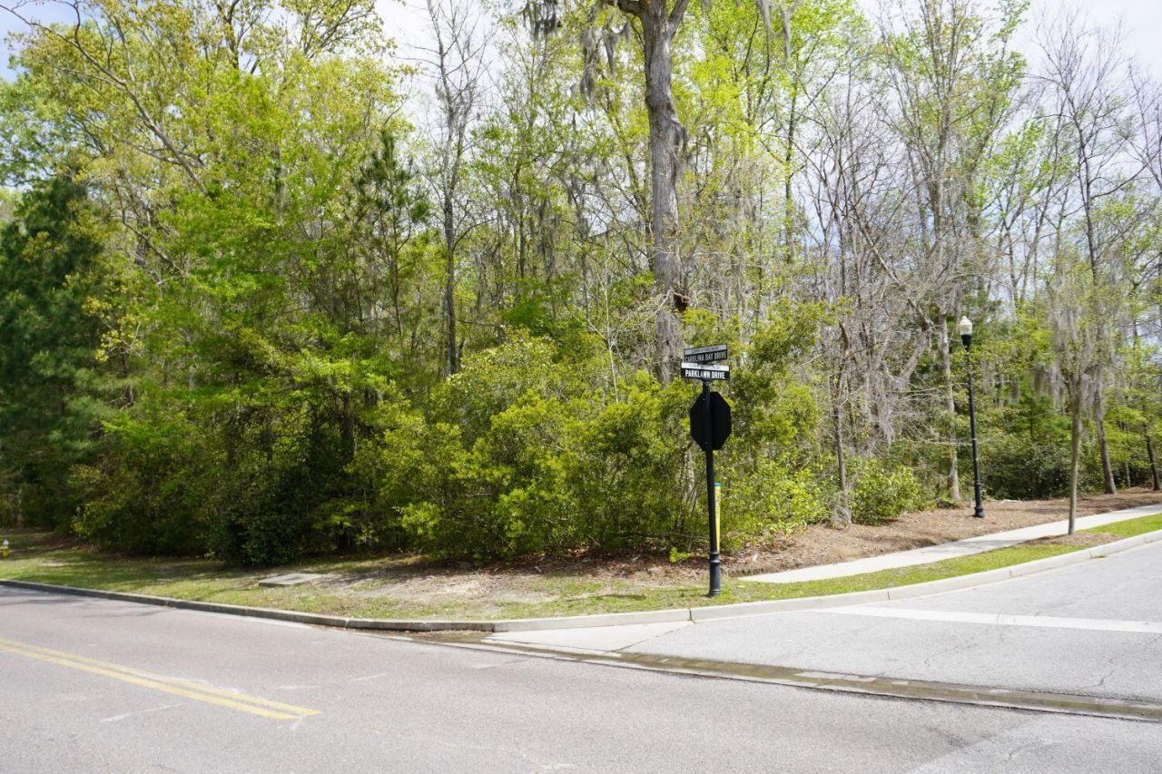 0 Carolina Bay Drive Photo 9