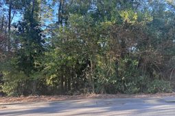 0 N Live Oak Drive photo 4