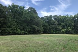 513 Dock Road  photo 4