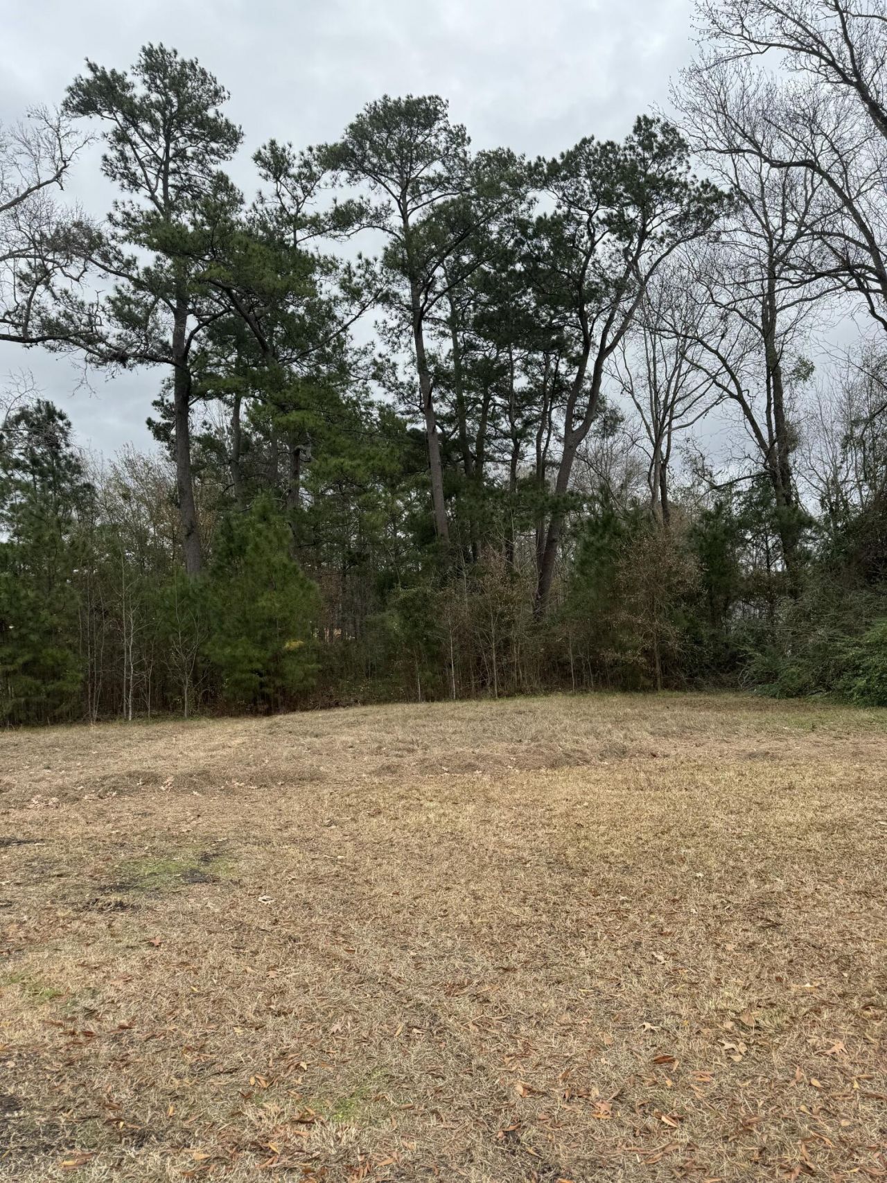 900 Orangeburg Road  Photo 1