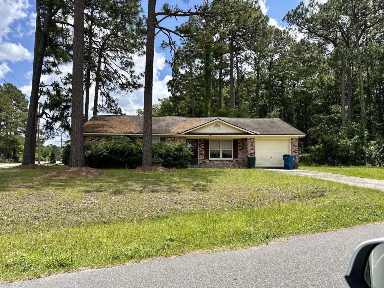 1141 Bonnie Lane Photo 3