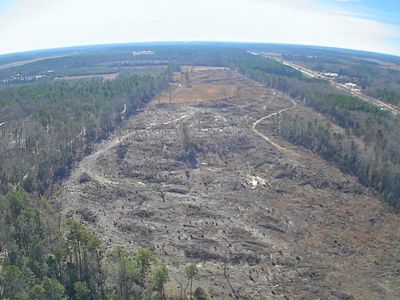 Tbd Log Cabin Lane, Saint Matthews, SC 29135