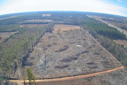 Tbd Log Cabin Lane photo 4