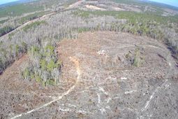 Tbd Log Cabin Lane photo 4