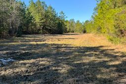 0 Sniders Hwy & Cane Branch Road photo 4