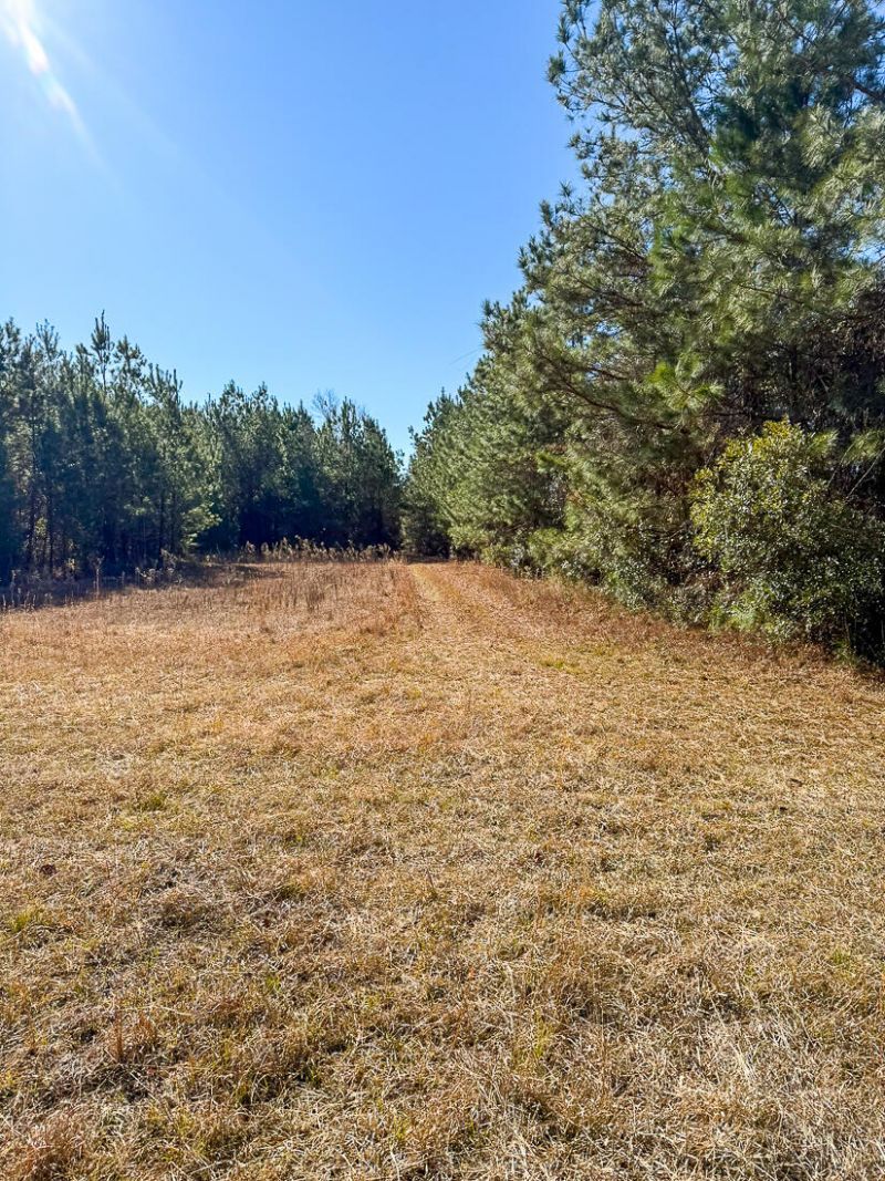 0 Sniders Hwy & Cane Branch Road Photo 4