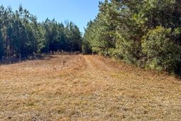 0 Sniders Hwy & Cane Branch Road photo 4