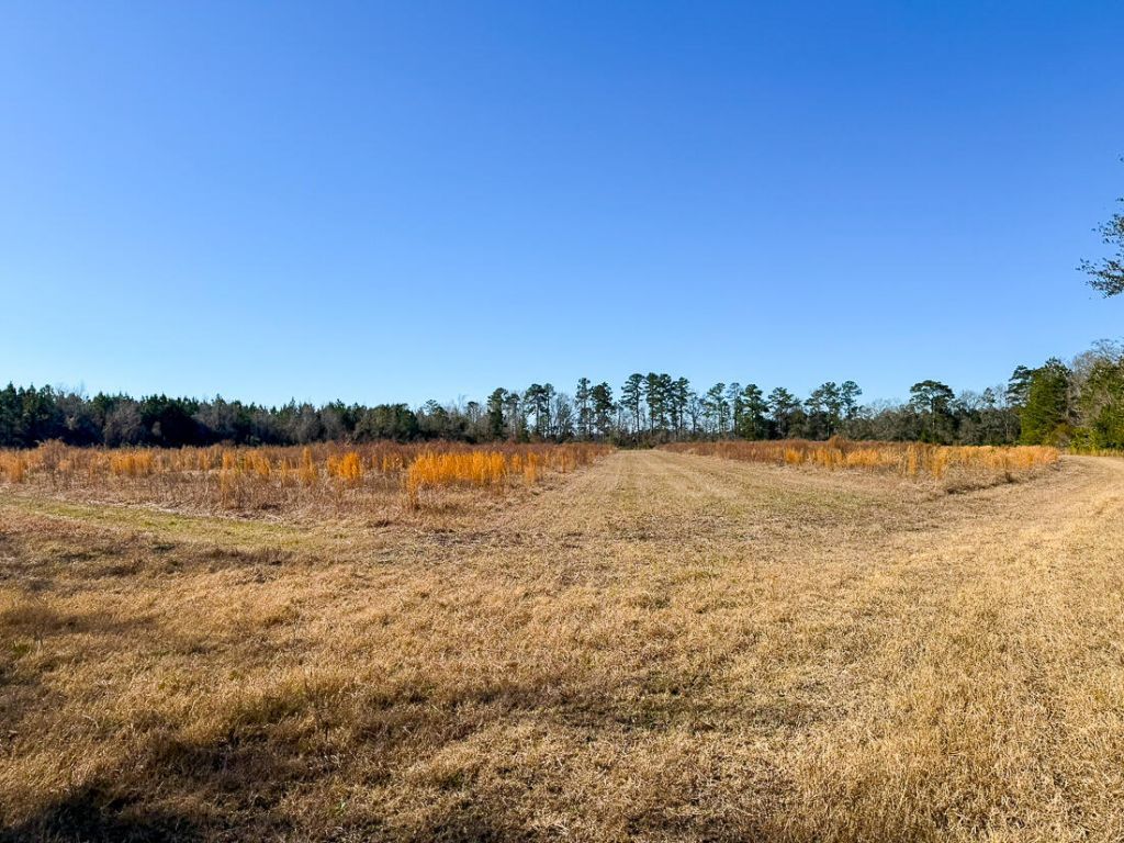 0 Sniders Hwy & Cane Branch Road Photo 5