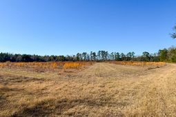 0 Sniders Hwy & Cane Branch Road photo 4