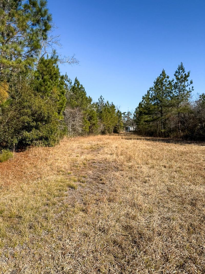 0 Sniders Hwy & Cane Branch Road Photo 6