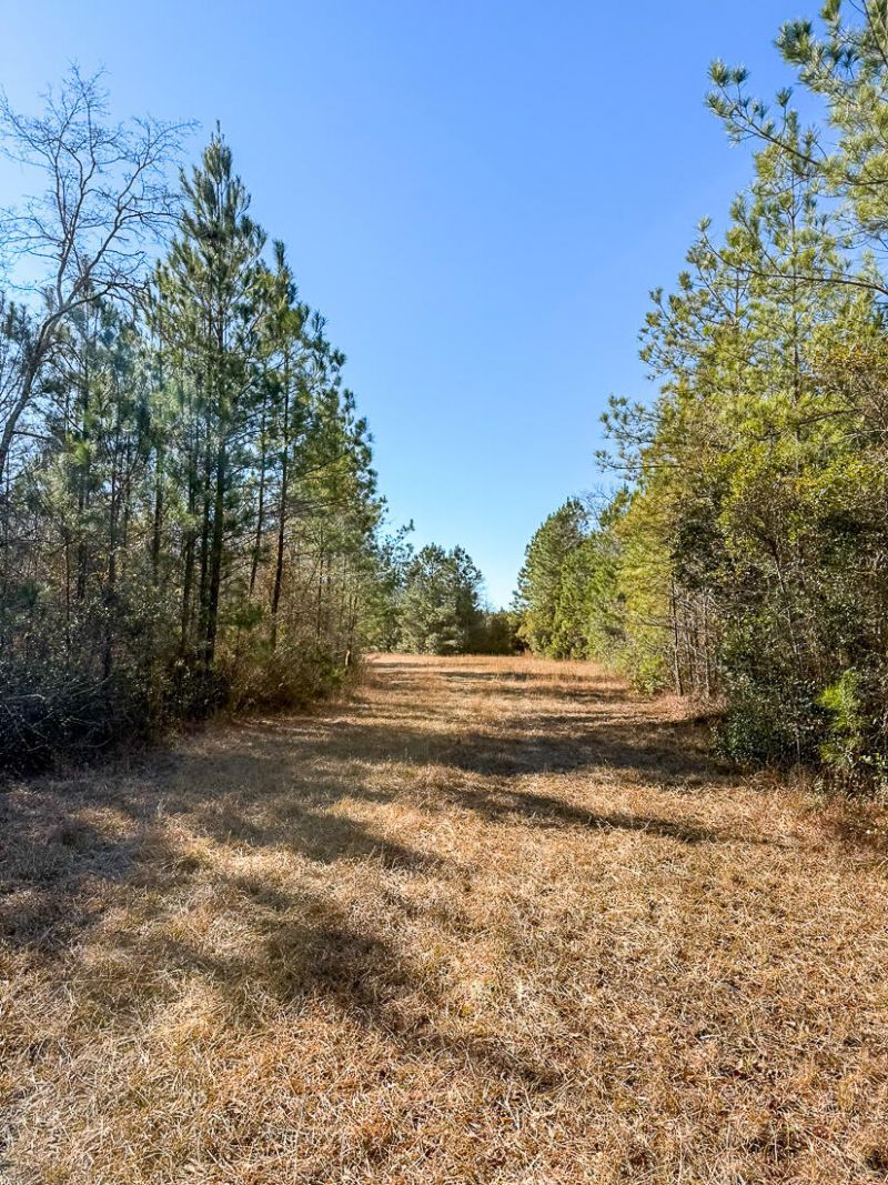 0 Sniders Hwy & Cane Branch Road Photo 7