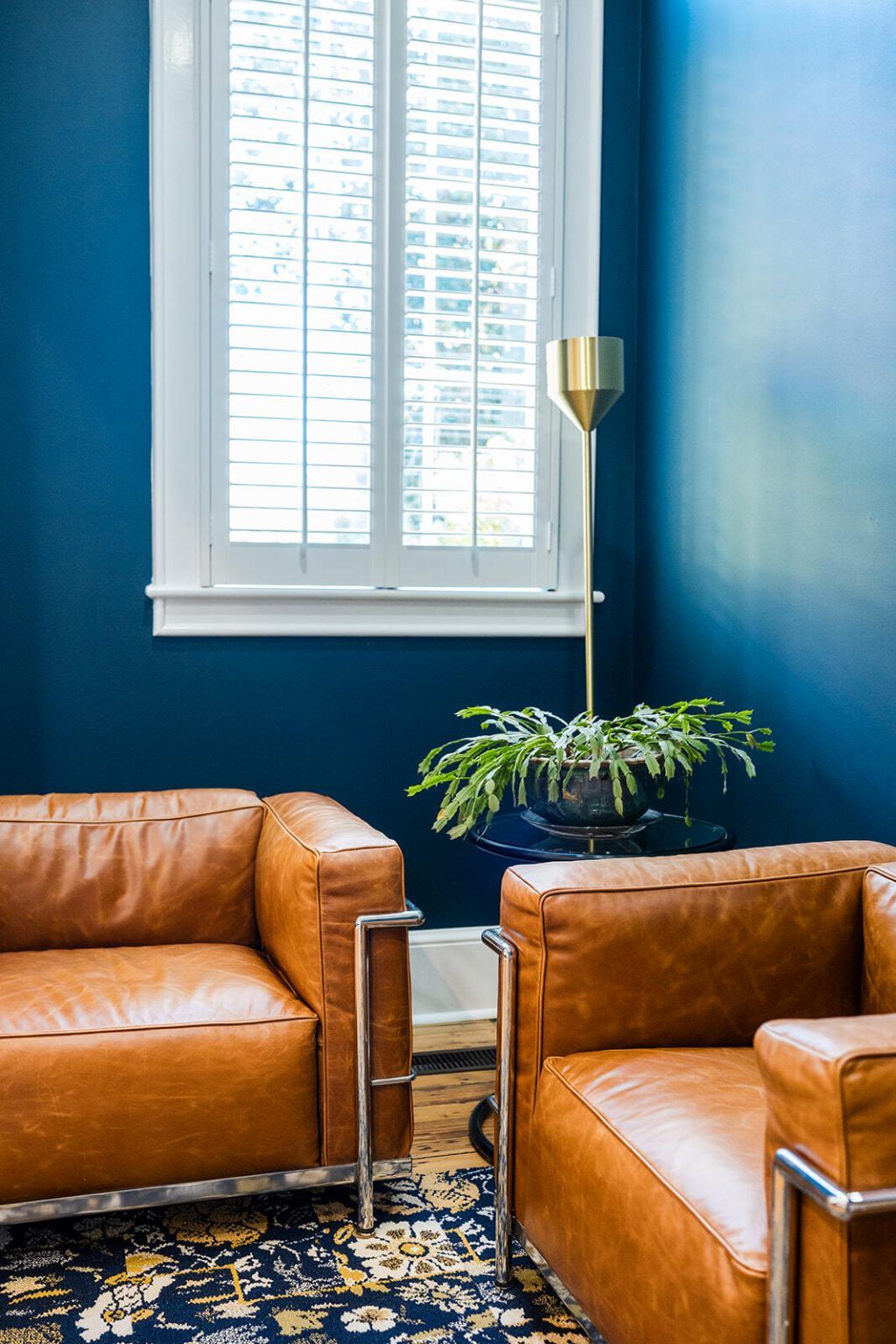 41 Pitt Street Photo 36