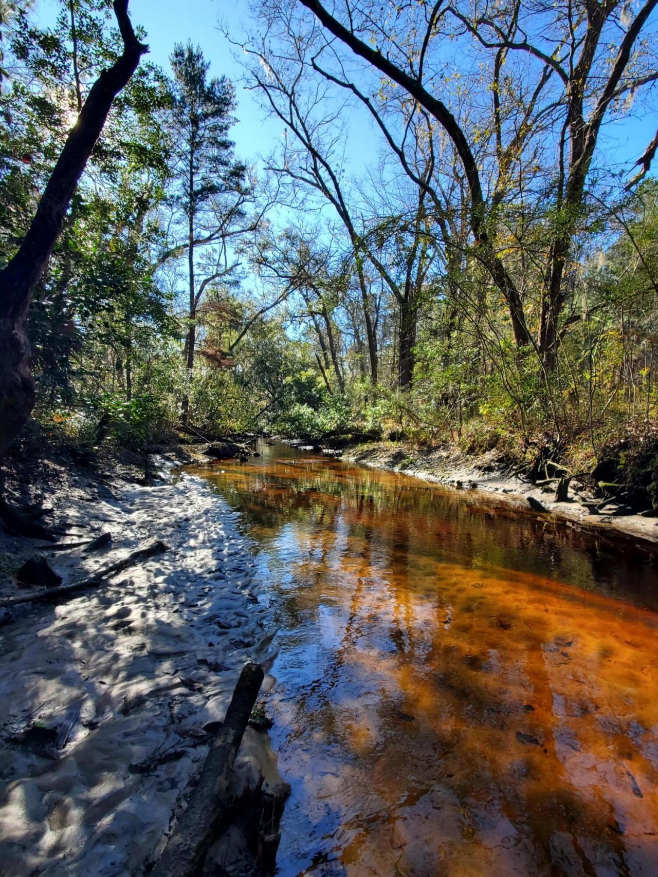 7085 Inman Road Photo 10