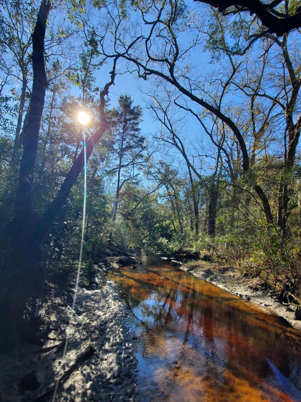 7085 Inman Road Photo 11