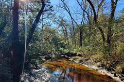 7085 Inman Road photo 4