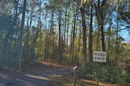 7085 Inman Road photo 4