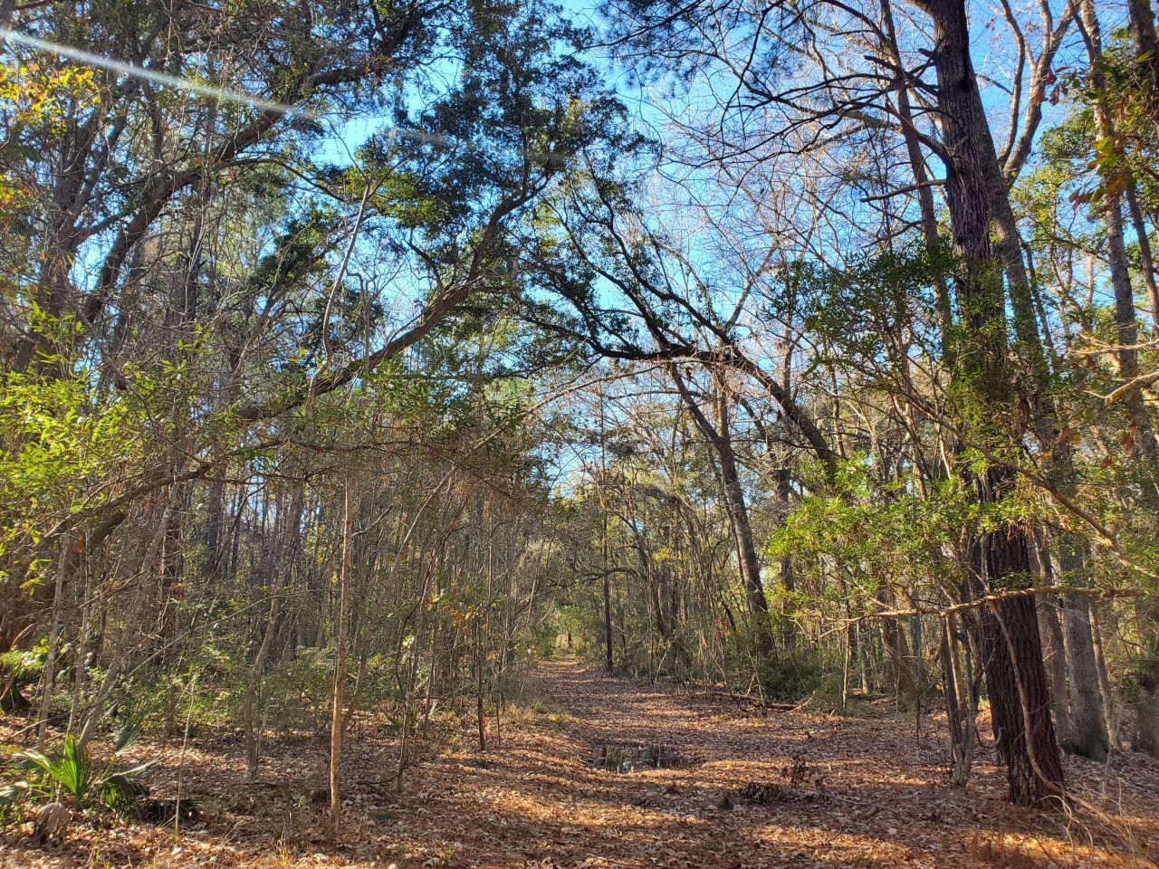 7085 Inman Road Photo 6