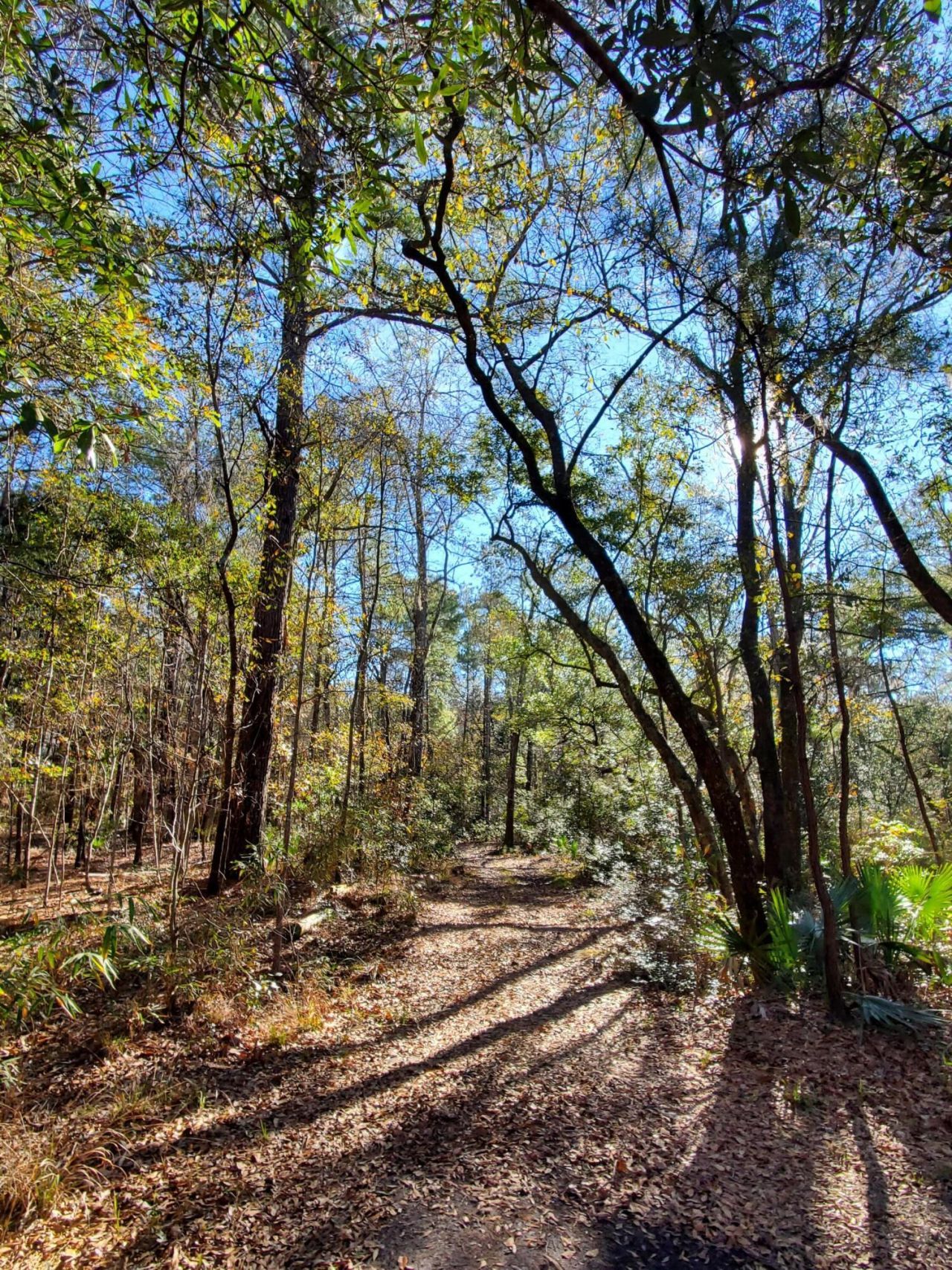 7085 Inman Road Photo 9