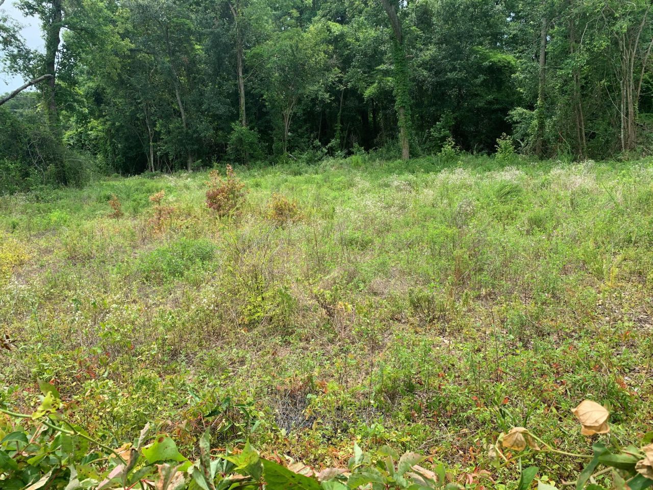 245 Crystal Drive Photo 4