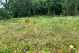 245 Crystal Drive photo 4