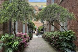 171 Church Street photo 4