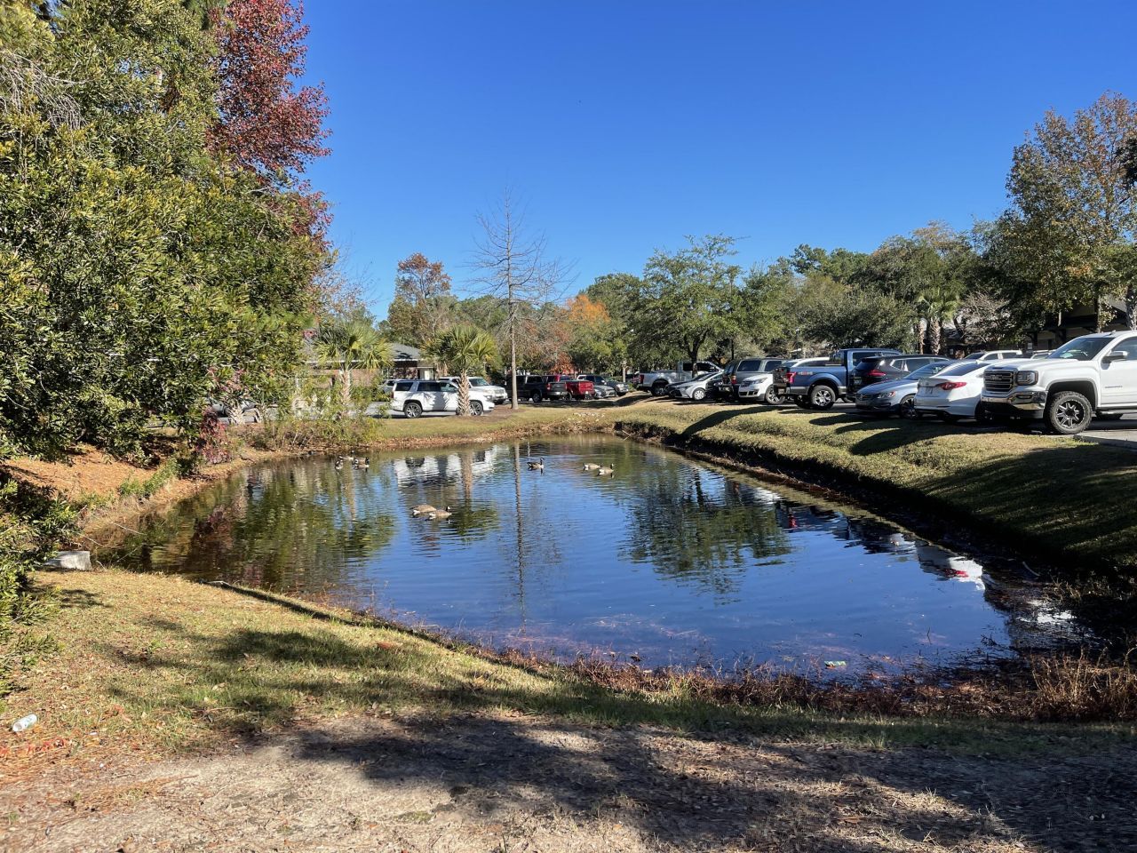 498 Wando Park Boulevard Photo 13