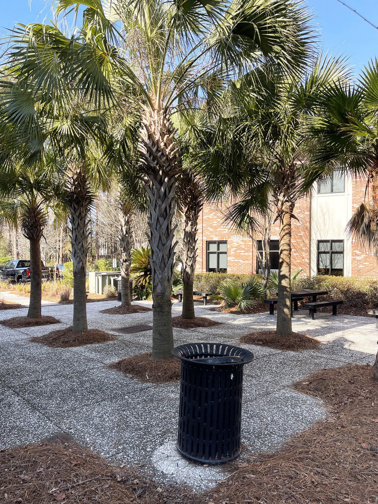 505 Belle Hall Parkway Photo 10