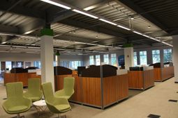 125 Fairchild Street photo 4