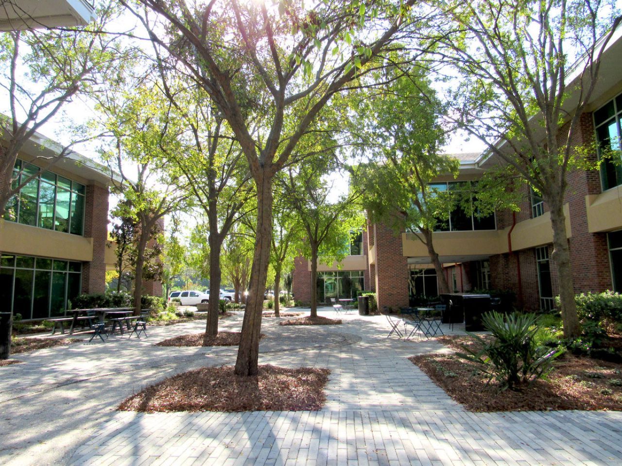 503 Wando Park Boulevard Photo 7