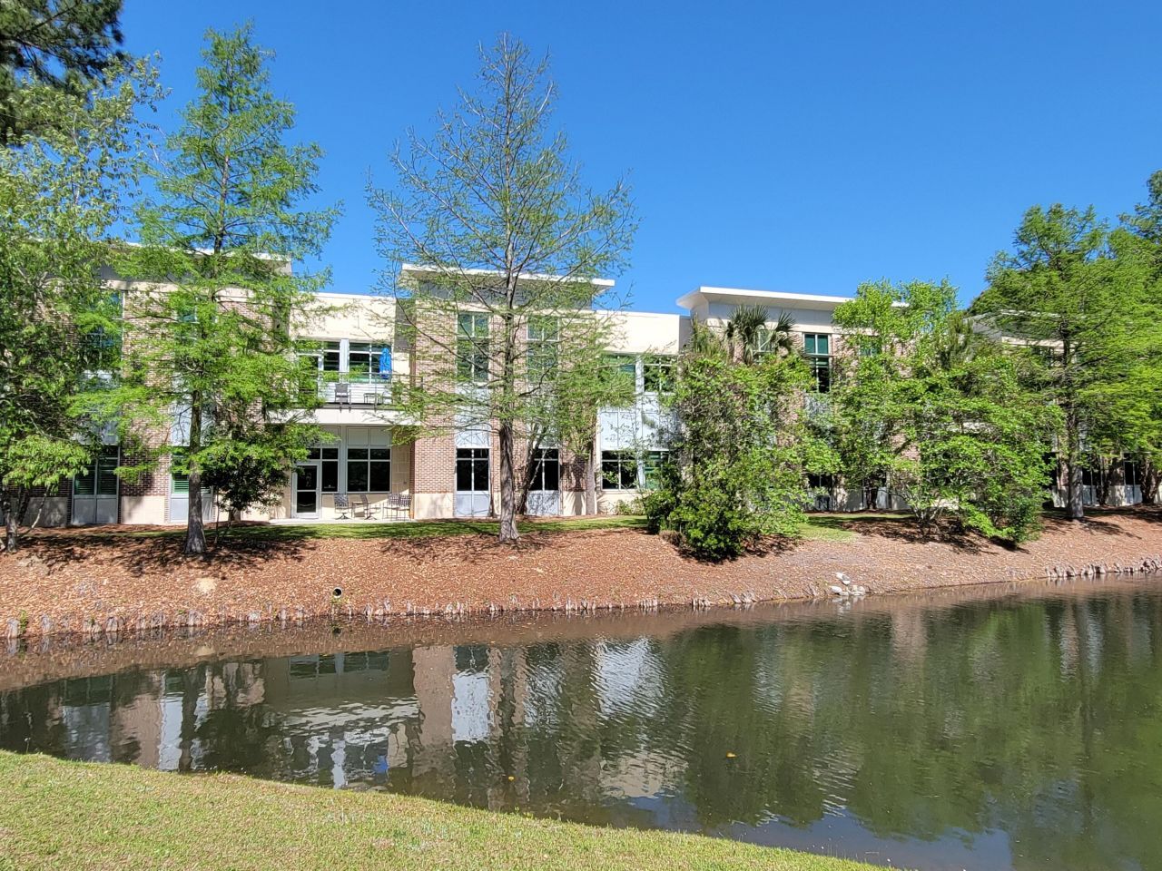 421 Wando Park Boulevard Photo 4