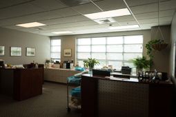 1142 Morrison Drive photo 4