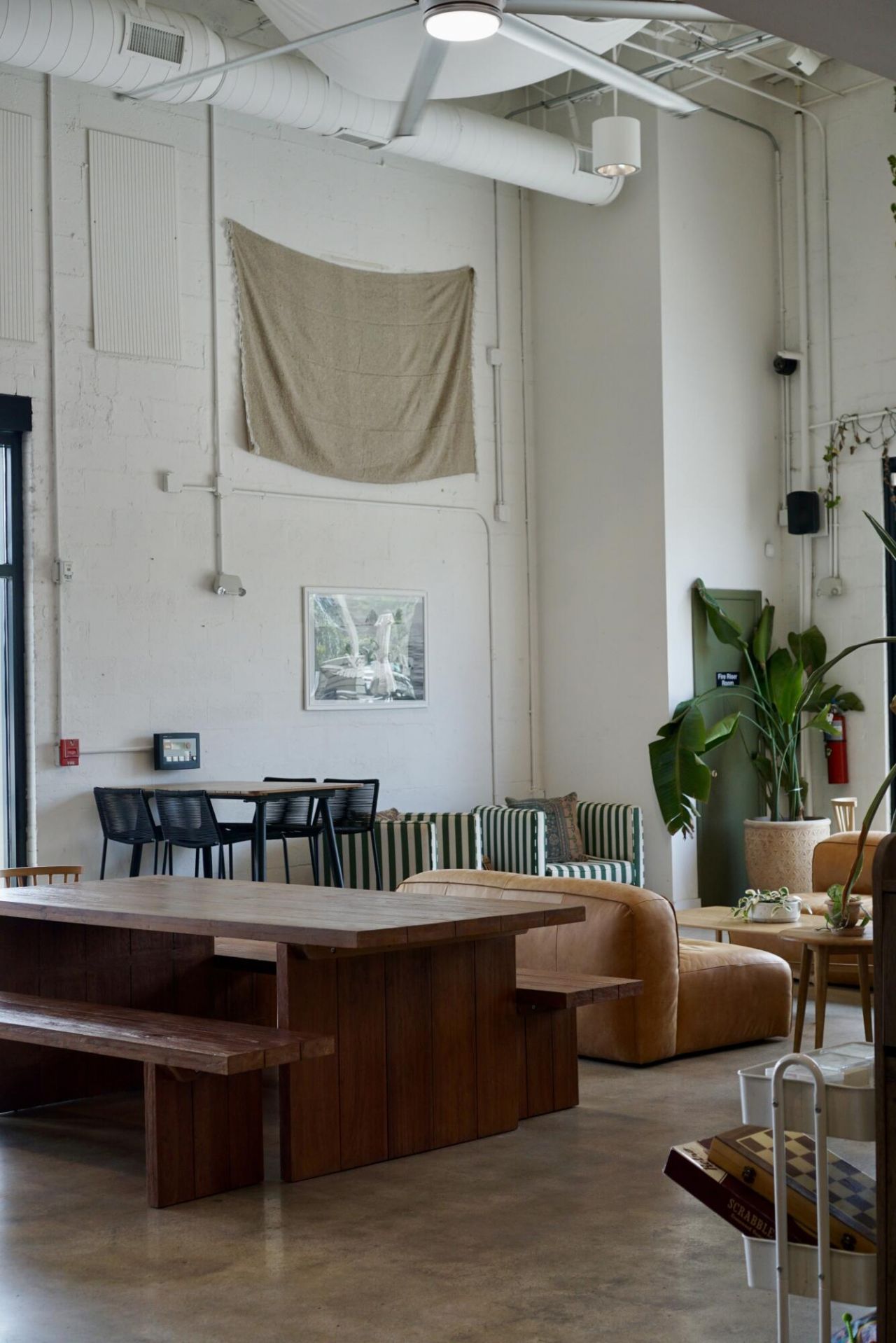 1859 Summerville Avenue Photo 13