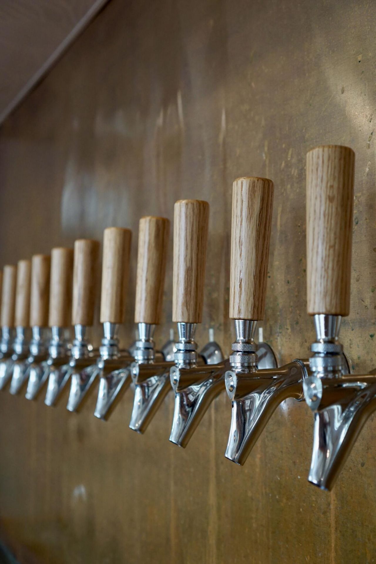 1859 Summerville Avenue Photo 9