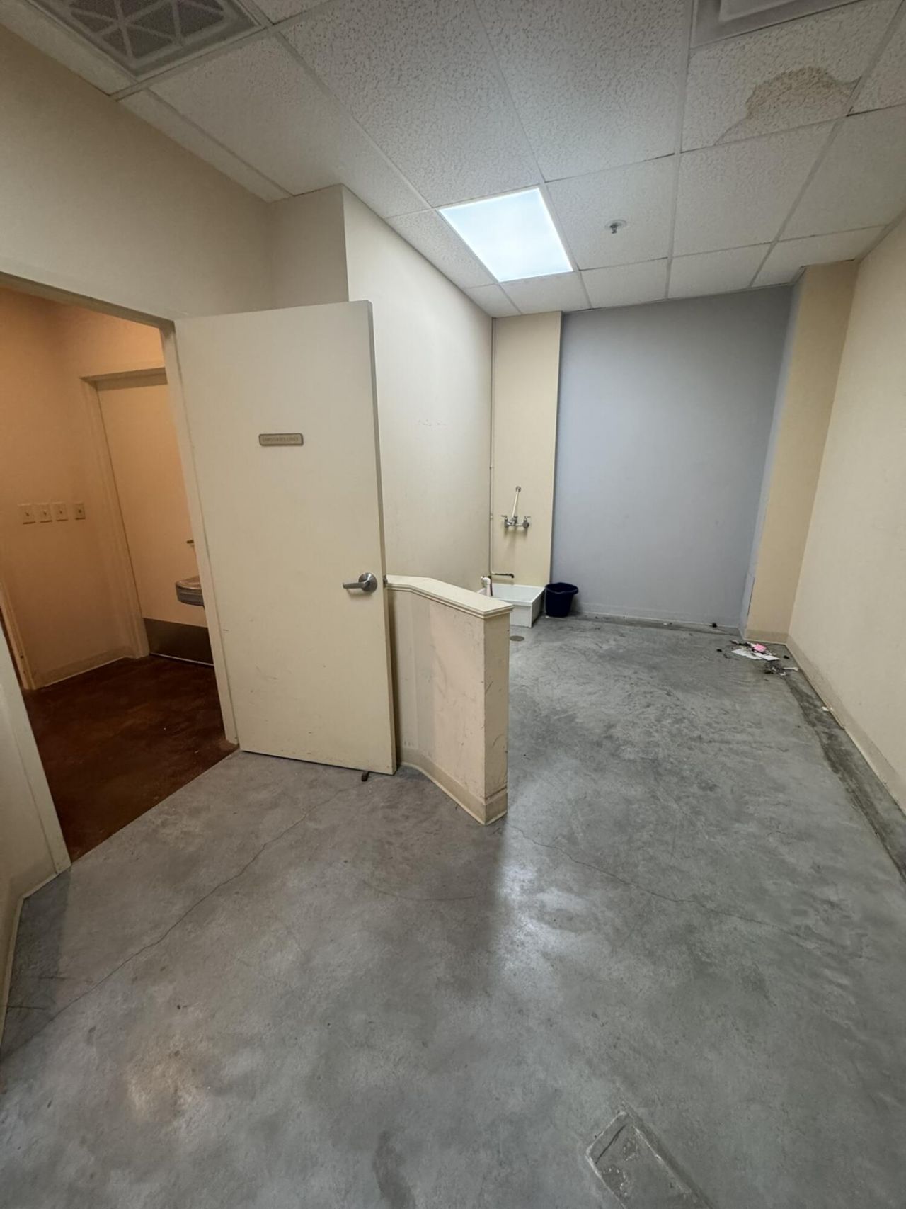 51 George Street Photo 12