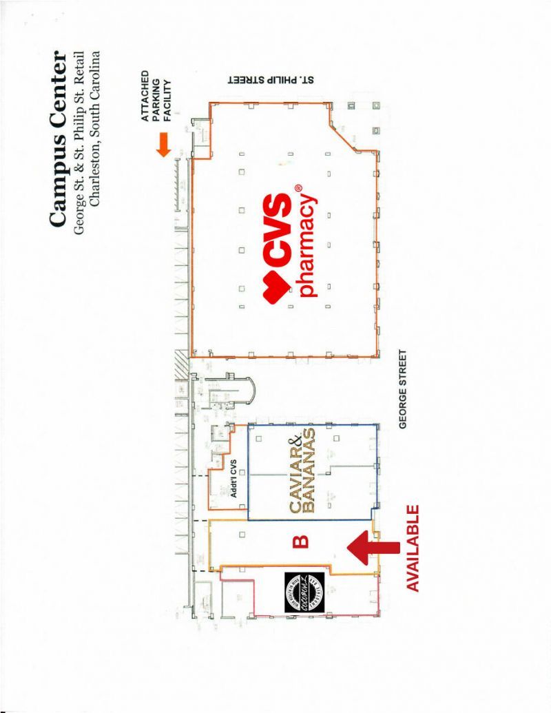 51 George Street Photo 14